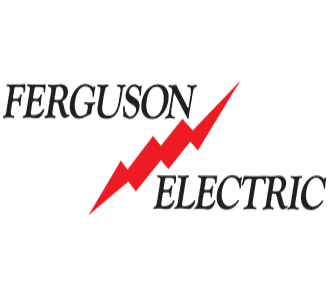 ferguson electric website